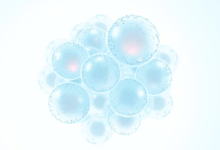 Unlocking Protein Expression with HEK293 Cells