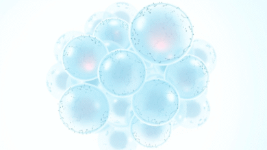Unlocking Protein Expression with HEK293 Cells