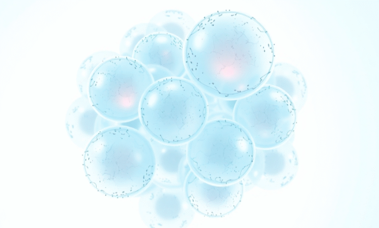 Unlocking Protein Expression with HEK293 Cells
