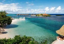 Explore Jamaica’s Hidden Gems with Adventure and Culture