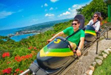 Explore Jamaica’s Hidden Gems with Adventure and Culture