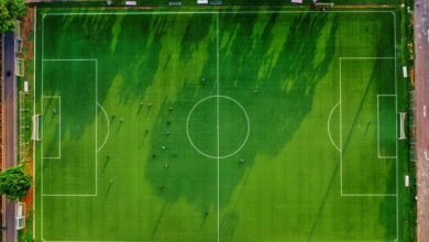 activity identifier overview list