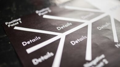 investment strategy and projections