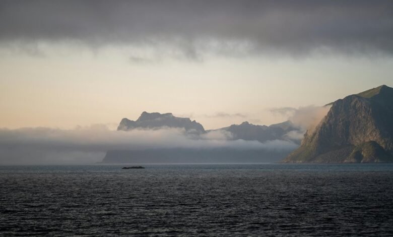 market analysis and predictions