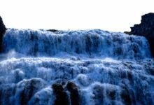 digital growth and expansion