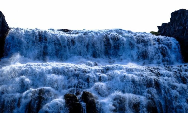 digital growth and expansion