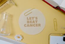 revenue optimization strategies implemented